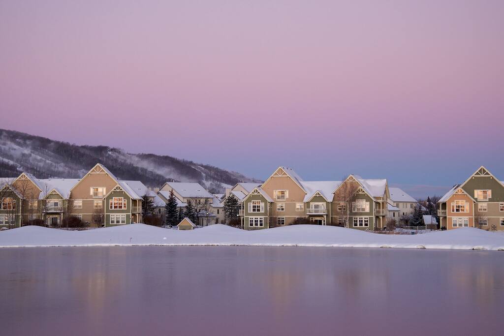 Rivergrass in the Winter