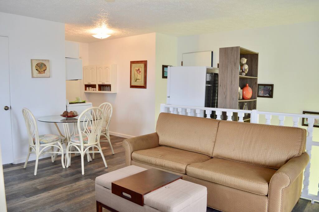 Living/dining room area with a dining table and queen size sleeper sofa