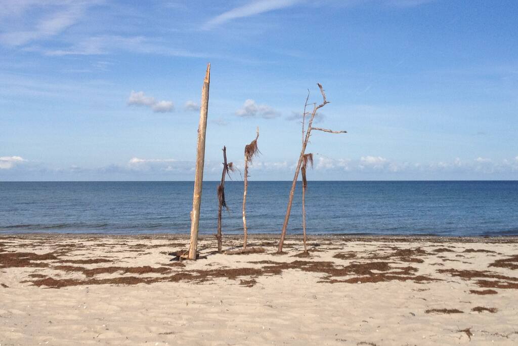 Am Ostseestrand
der Schaabe in Glowe