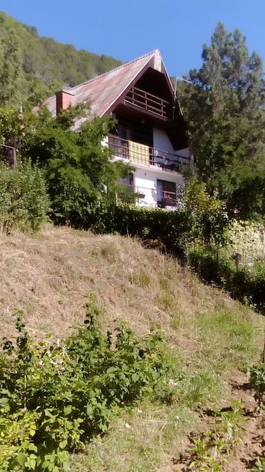 The house is located inside the National Park Galicica.