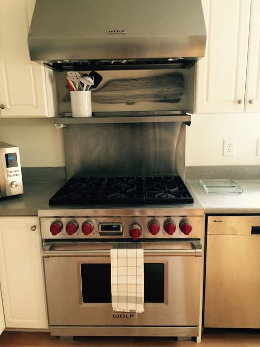 Gourmet 6 burner Wolf range
