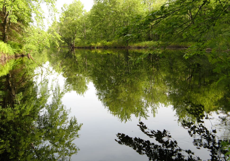 Skootamatta River - the best!