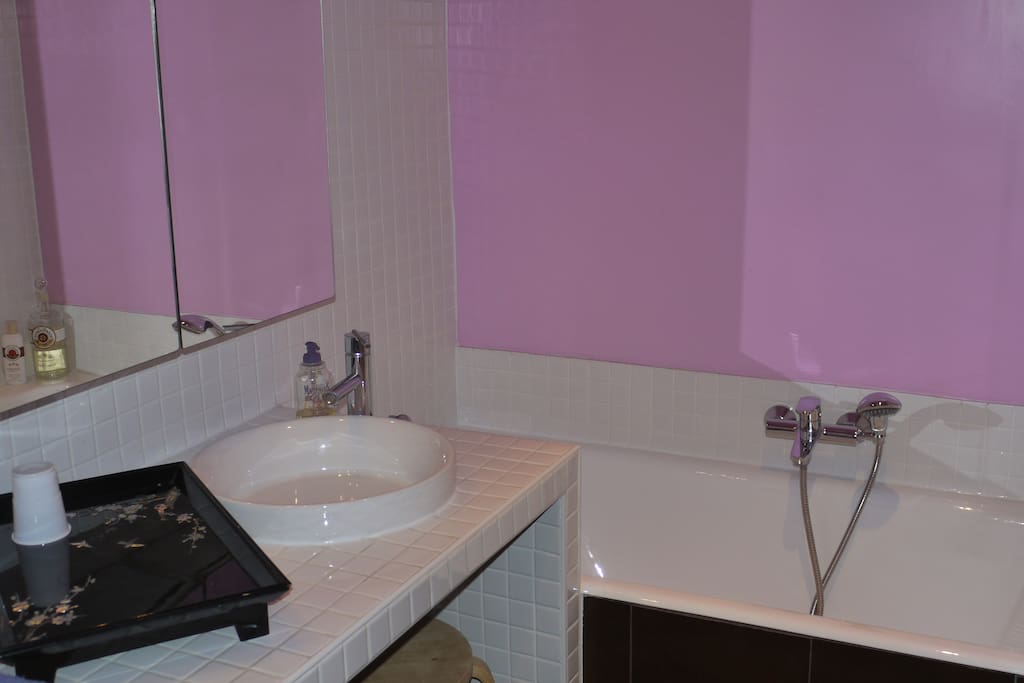 Salle de bains complète (cabine de douche et WC cachés à droite)