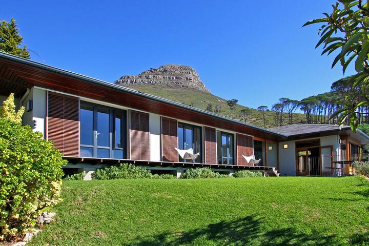 Table Mountain in the garden! gallery image 4