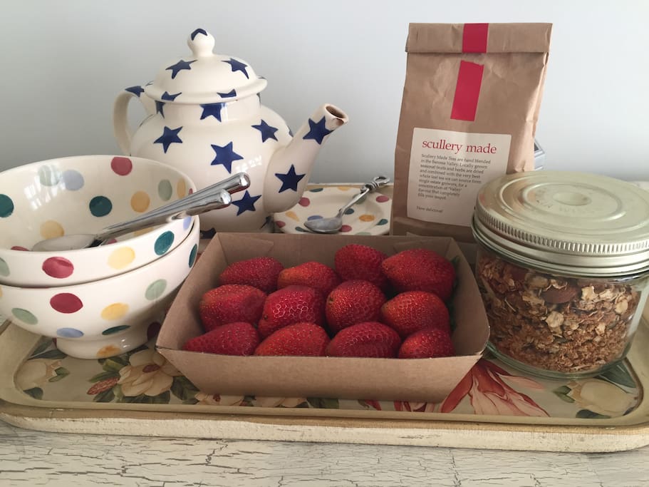 Home made Granola and some fresh Farmers Market strawberries