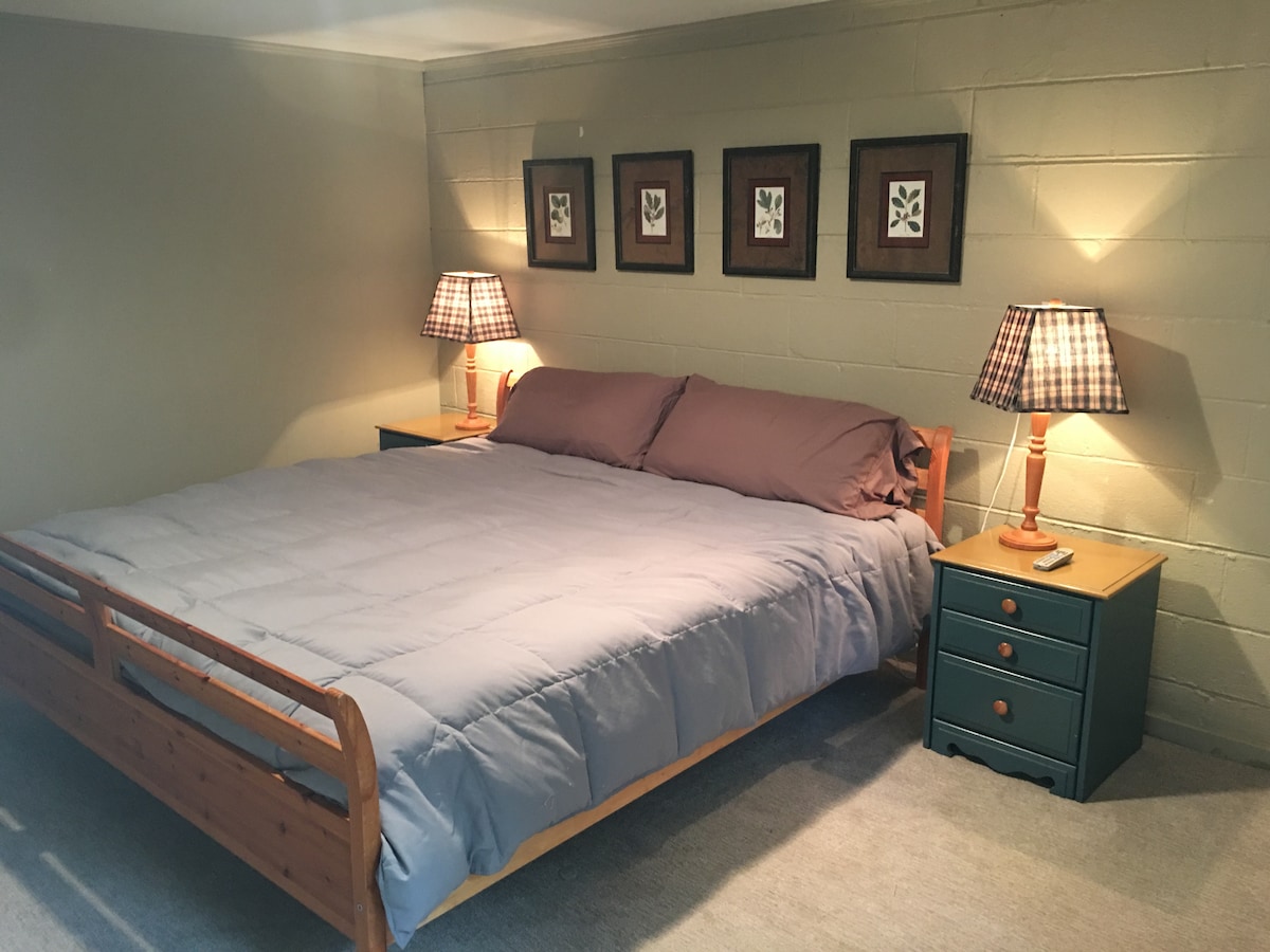 חדר שינה 4, מיטת קינג סייז במרתף עם טלוויזיה עם Roku ו - Netflix.