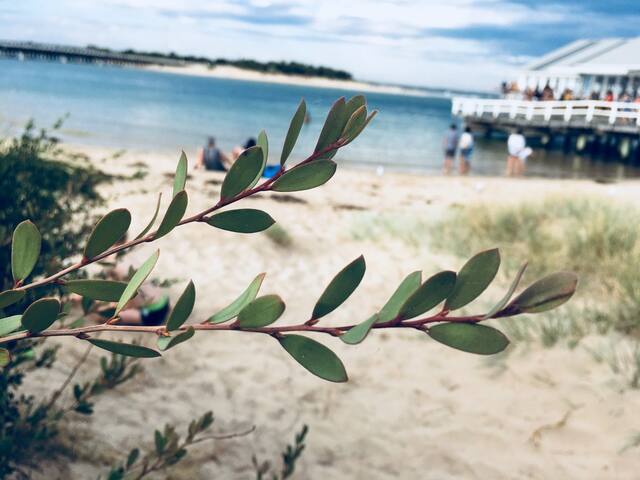 Home away from home – everything you need & more! gallery image 2