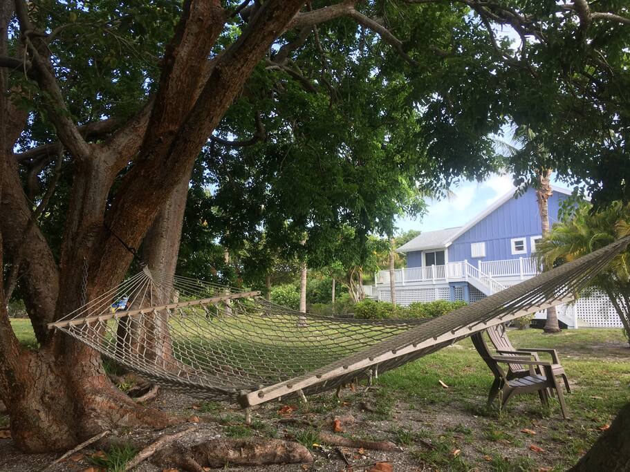Communal hammock area