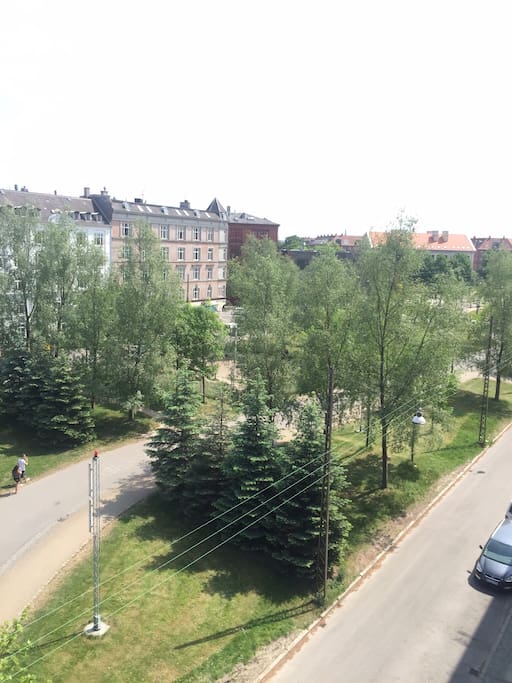 View over Nørrebro parken