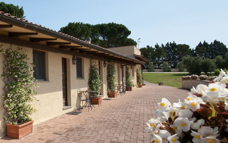A charming exterior view features several entrances to guest rooms lined along a brick pathway. Potted plants with greenery and flowers adorn the area, while tall trees and open fields provide a serene backdrop under a clear blue sky.