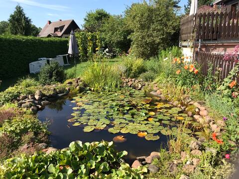 Top performing Airbnb: Quiet apartment between Rheinsberg and Neuruppin in Rheinsberg