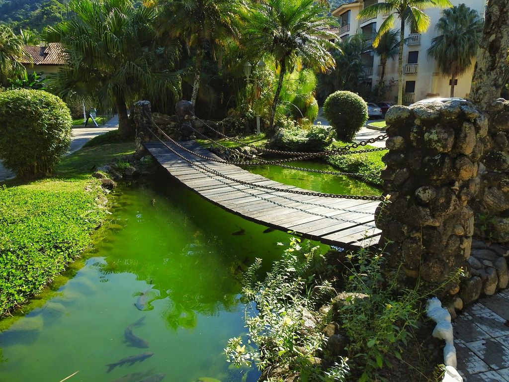 A rustic wooden bridge spans a green pond, surrounded by lush tropical vegetation. The water reflects the foliage, and fish can be seen swimming below the surface. Stone pillars support the bridge, blending harmoniously with the natural landscape.