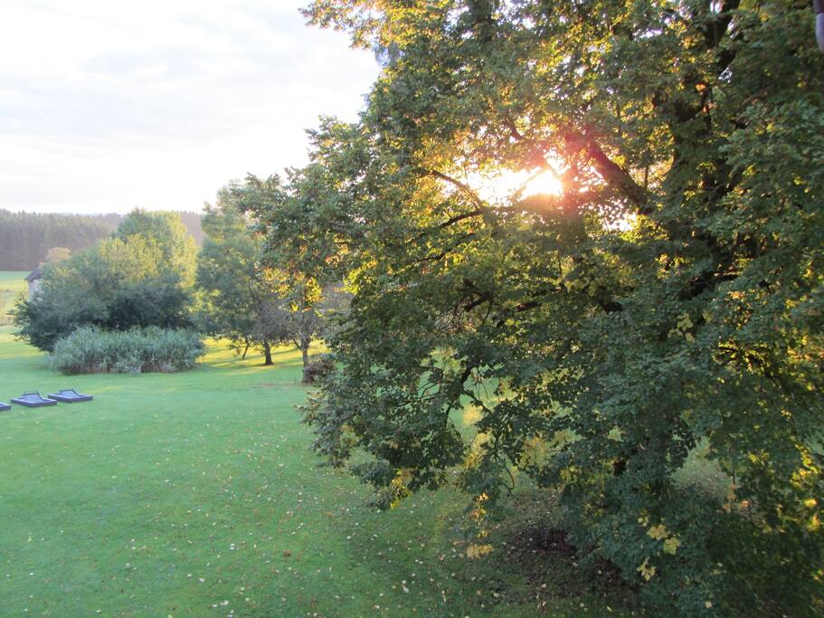 Blick aus einem der Apartmentfenster auf den Park!