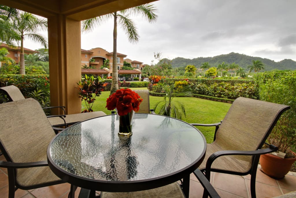Chair,Furniture,Dining Table,Table,Palm Tree