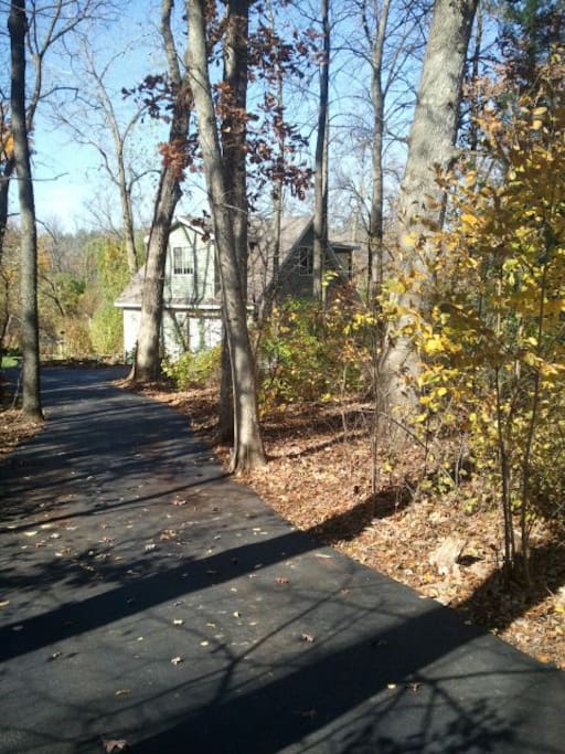 Driveway to Cabin