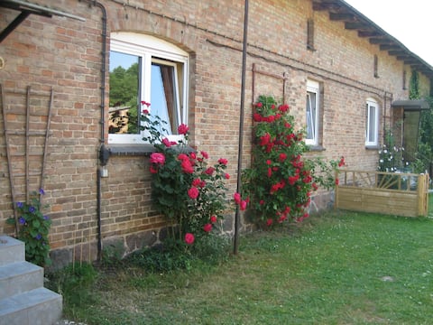 Top Airbnb: Vacation home on Lake Nebelsee in Mecklenburgische Seenplatte