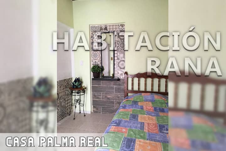 Rana/Frog Room
1 Person/1 People
No A/C
Small but cozy room, with private access. Perfect for the privacy you're looking for.

Small but cozy room, with private access. Perfect for the privacy you are looking for.