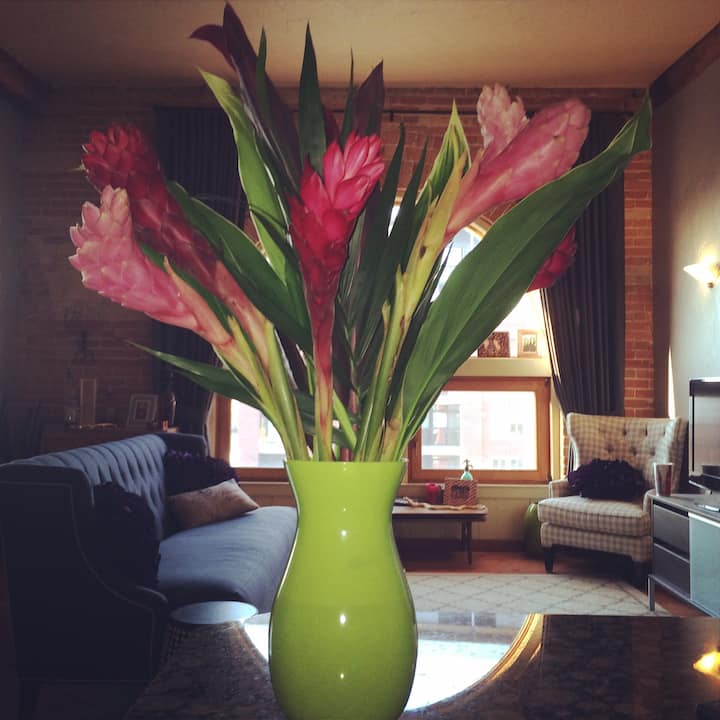 Salt Lake City Condo Condominiums for Rent in Salt Lake City, Utah