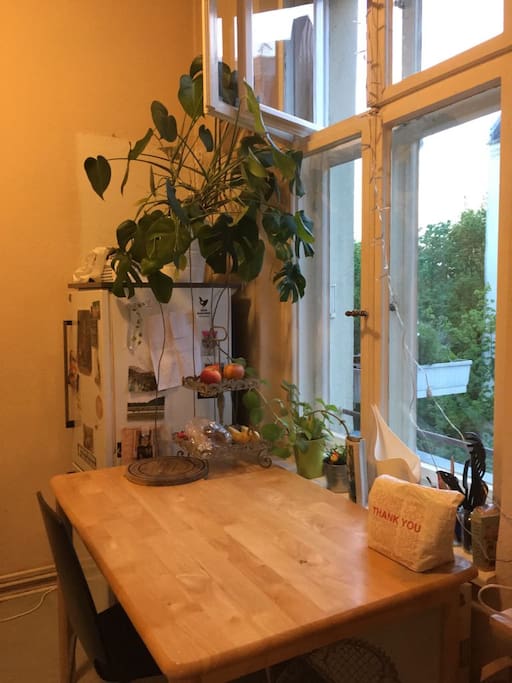 Jungle in the kitchen