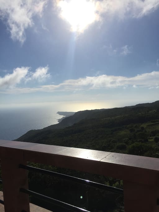 View from patio