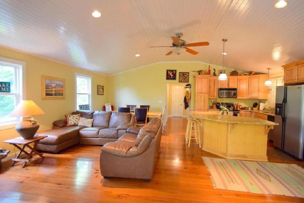 Living Room & Kitchen Area