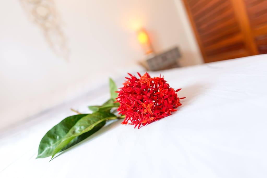 Une chambre spacieuse et confortable pour vous reposez et vous ressourcez.