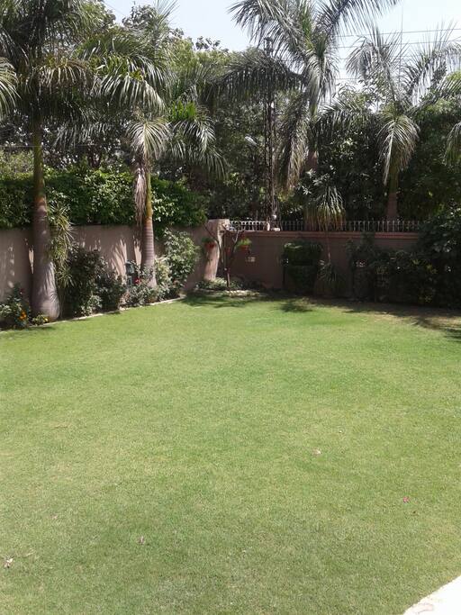 Front lawn