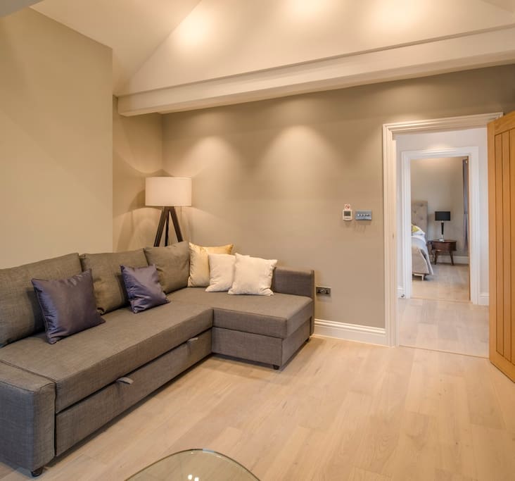 Living Room with Sofa