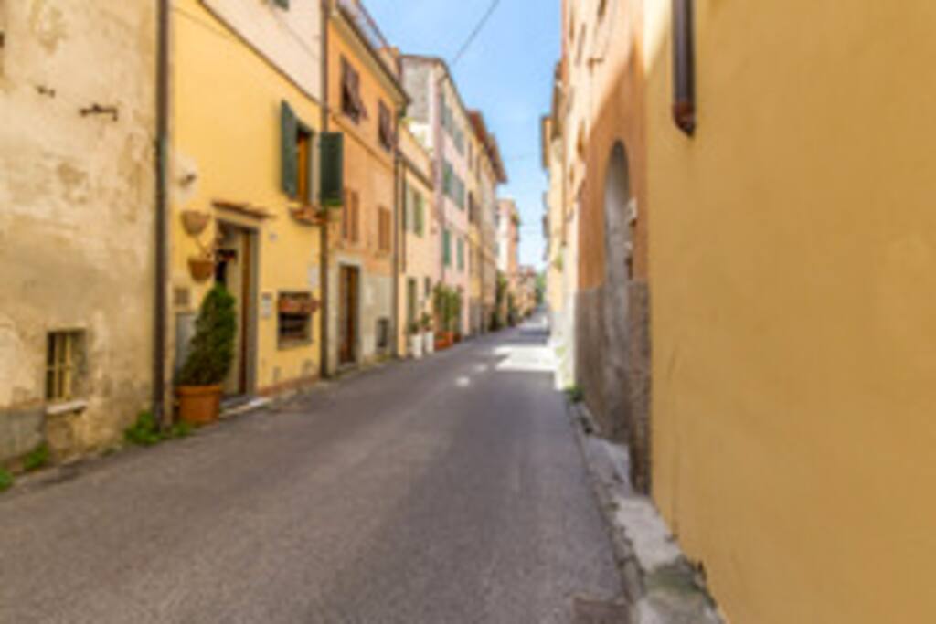 storic center of Pietrasanta.