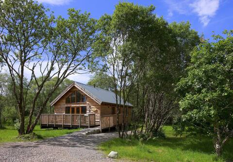 Silver Birch Log Cabin