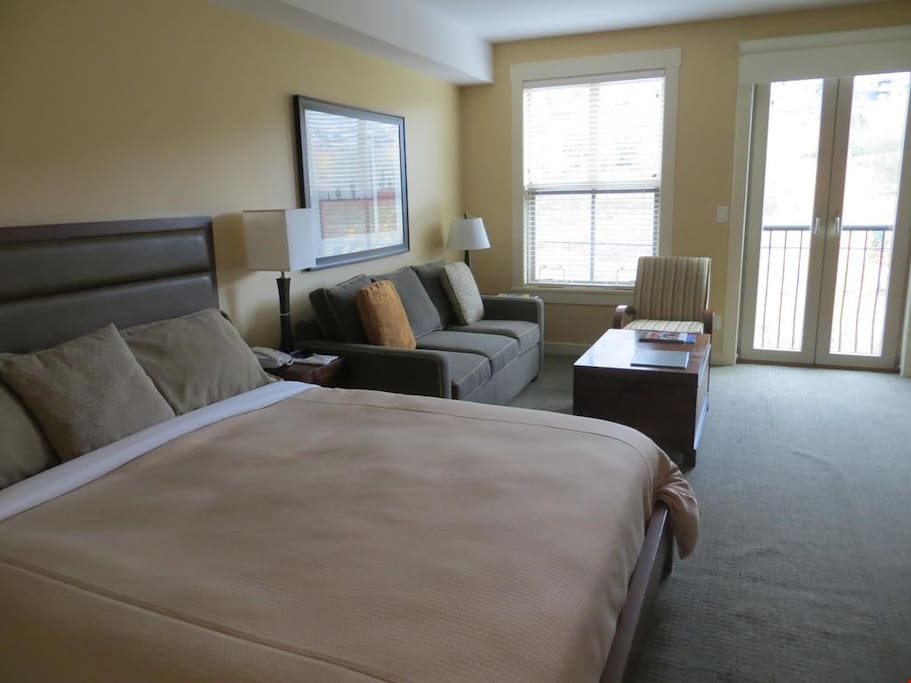 Enjoy the lakeview from your king-sized bed!