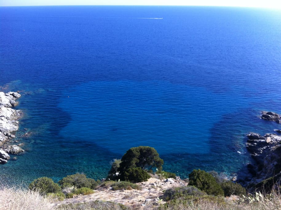 CALA DELFINO