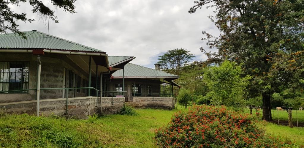 The exterior of the Molo River House is shown, featuring a stone and metal structure with a sloped roof. Surrounding greenery includes a well-maintained lawn and shrubs, with trees in the background. The setting conveys a natural and spacious environment.