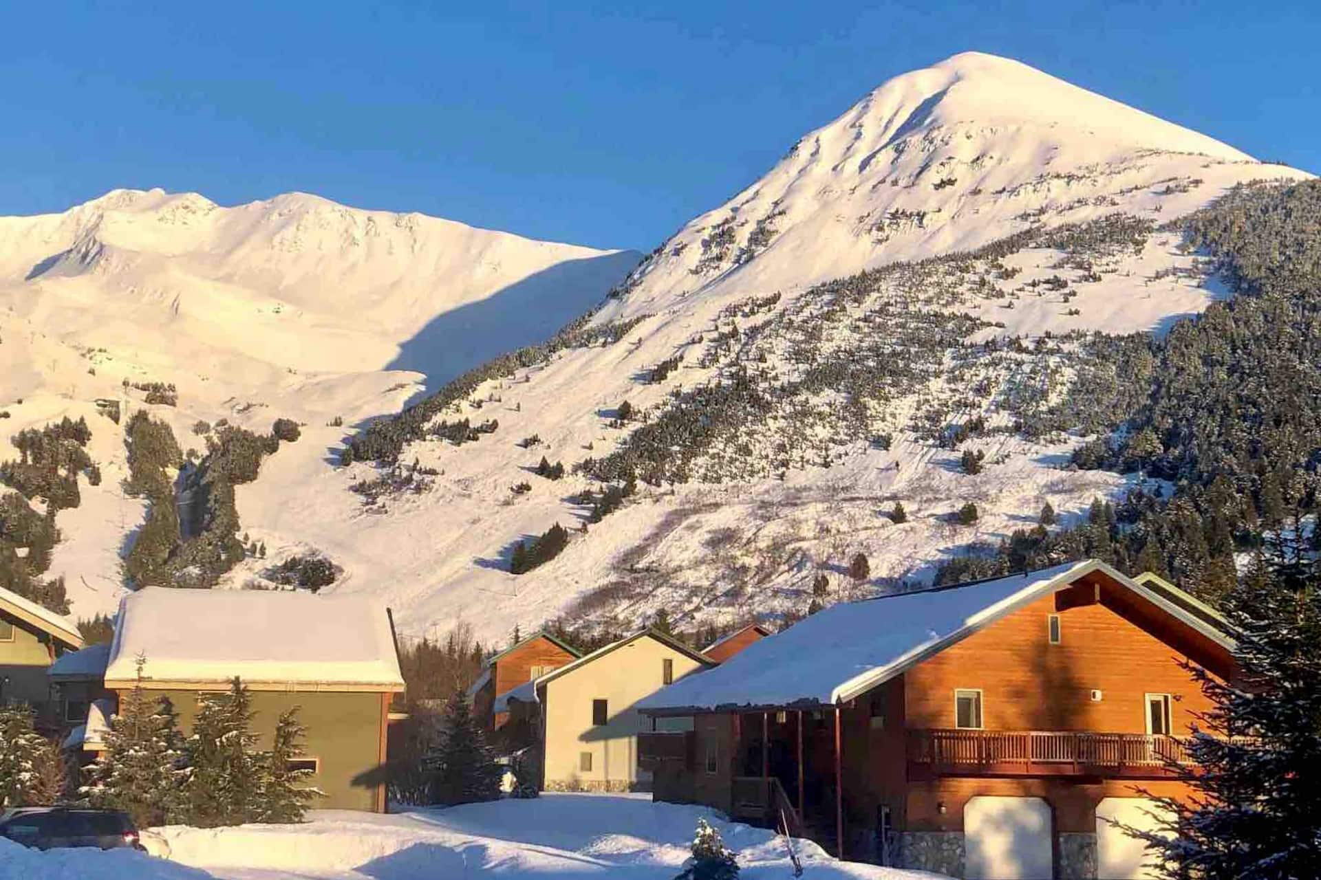Apres Ski One Bedroom Guest Suite- Girdwood