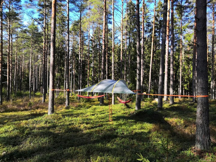 Flytende telt (for undersøkelse) - Tretopphus til leie i Salo, Finland -  Airbnb