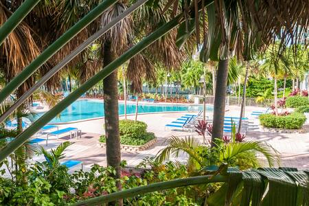 COZY 1BDR/1BTH APT DIRECT OCEAN VIEW, FREE PARKING