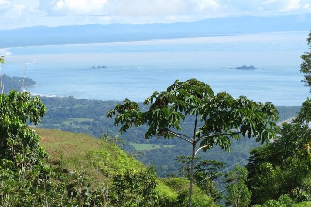 Morning view of the coastline