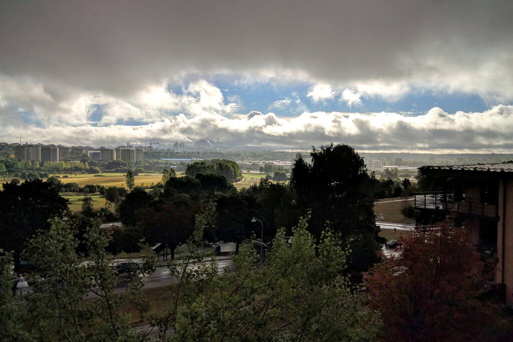 View from the kitchen