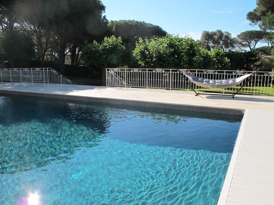 The 13 metre pool with integrated automatic cover and large grass garden below with direct access to the beach