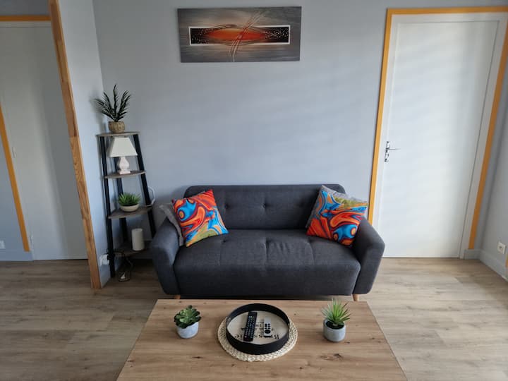 T2 De 42m² Face Hôpital Emile Roux - Le Puy-en-Velay