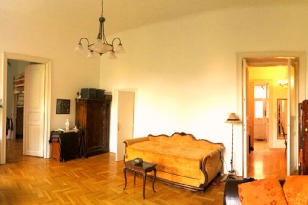 livingroom (the bed can be out for two persons to sleep)