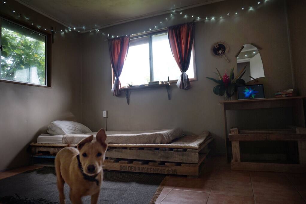 Your room! Bright and open with garden view - featuring your host; Kola the super sailor pup