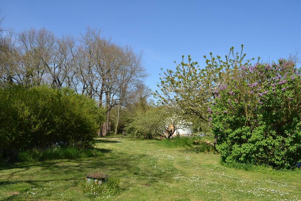 camouflé au milieu de la végétation.
