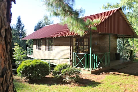 Stoneyhall Farm Log Cabins