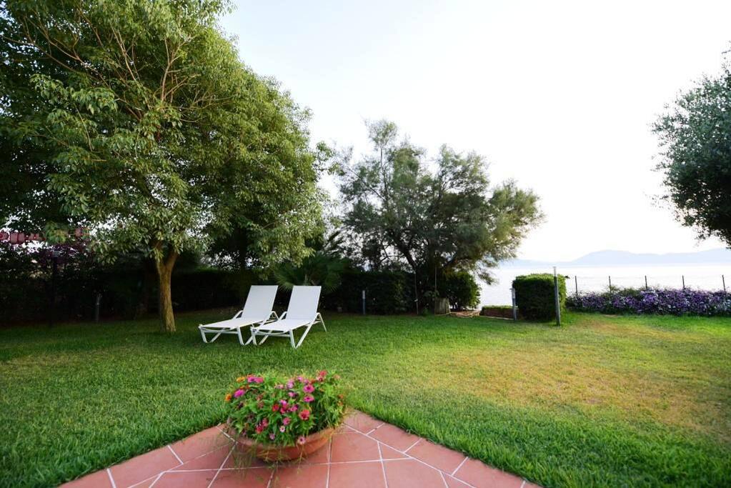 Giardino