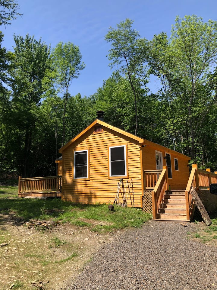 Newly Renovated Cabin in 2021 next to Gilbert Lake - Cabins for Rent in ...