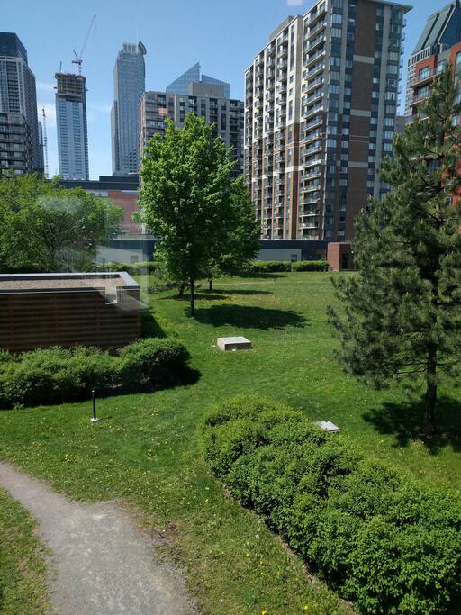 Garden in the back