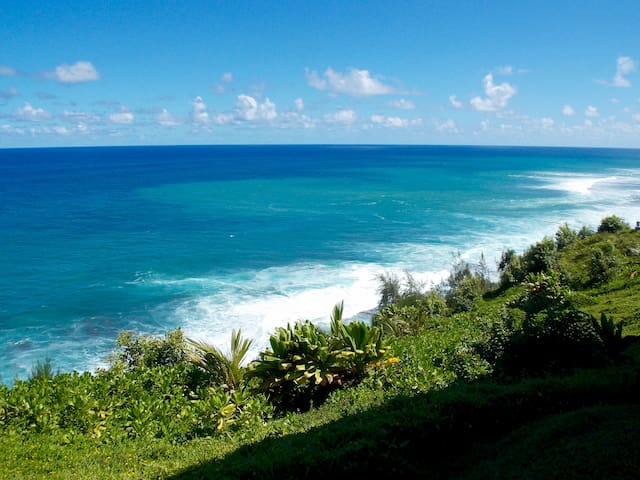 OCEAN FRONT 2b/2ba Princeville Kauai