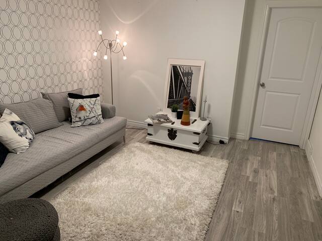 Private Basement Living Space House #16