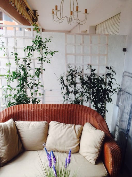 La terrasse à la provençale , le jasmin florissant
